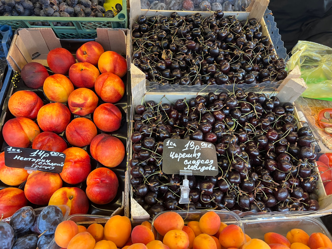 цены не сезонные продукты в бресте